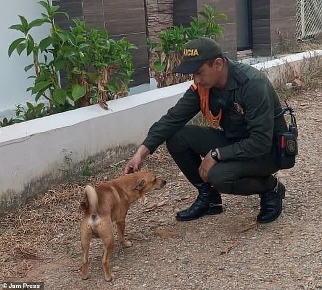 Police responded to the village of La Chava, Colombia, on Saturday, March 16, to rescue the distressed pooch – an investigation is currently underway