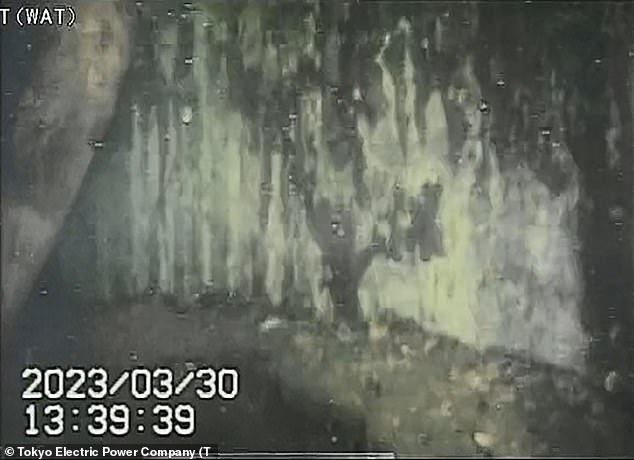 TEPCO officials said they could not tell from the images whether the dangling clumps were melted fuel or melted equipment without obtaining other data such as radiation levels.