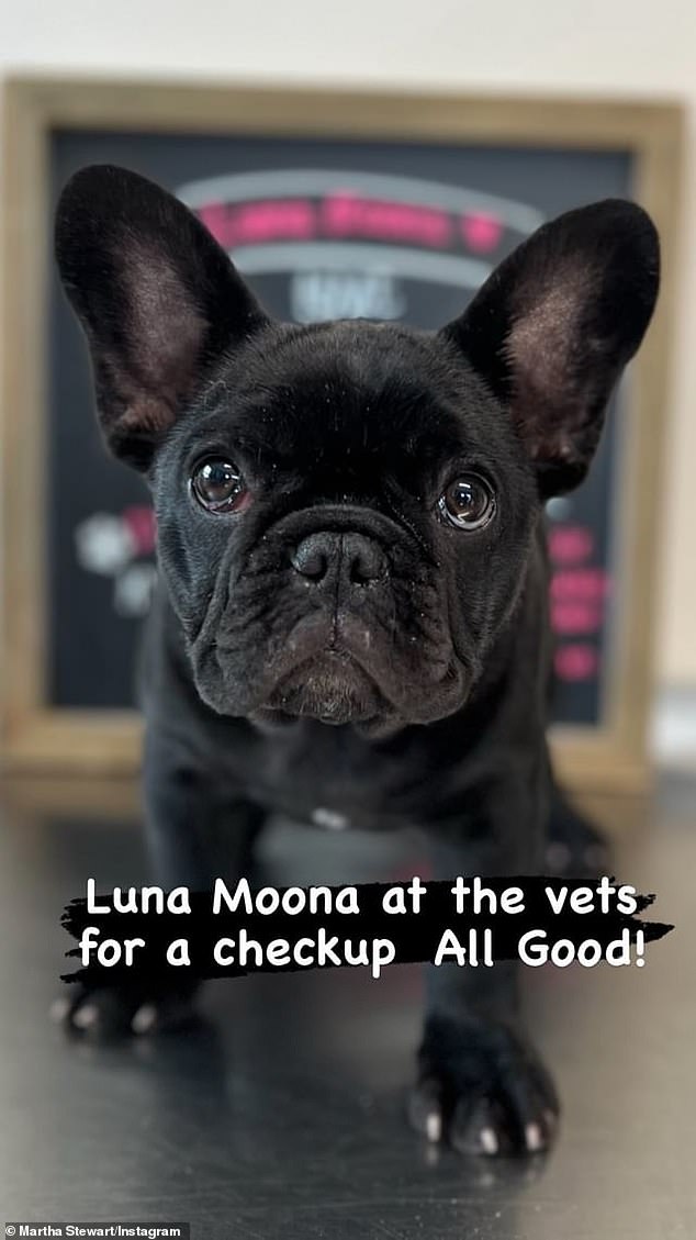 She was happy to report that Luna was doing well as she shared a photo of her adorable furry friend