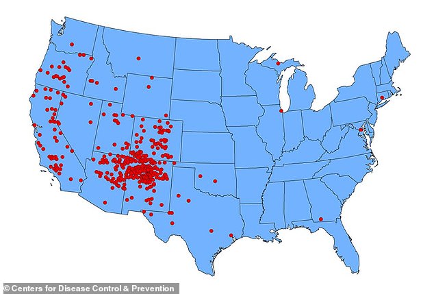 Experts warned that the increased number of cases of bubonic plague could be due to climate change.  This map from the CDC shows that most cases of plague in the US since 1970 have occurred in the Four Corners area, which includes New Mexico, Utah, Arizona and Colorado.