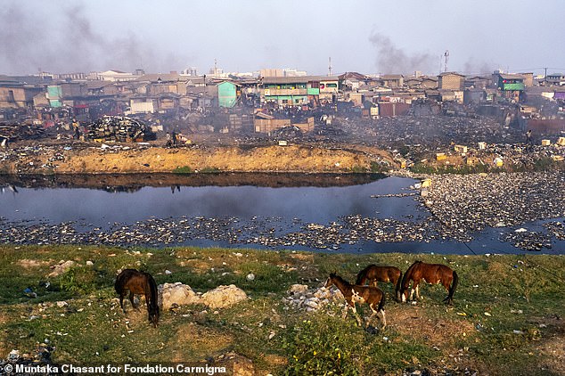 E-waste contributes to a growing ecological problem because it pollutes the environment.  Here, at a now-demolished scrap yard in Ghana, you can see the destruction of what were once thriving wetlands