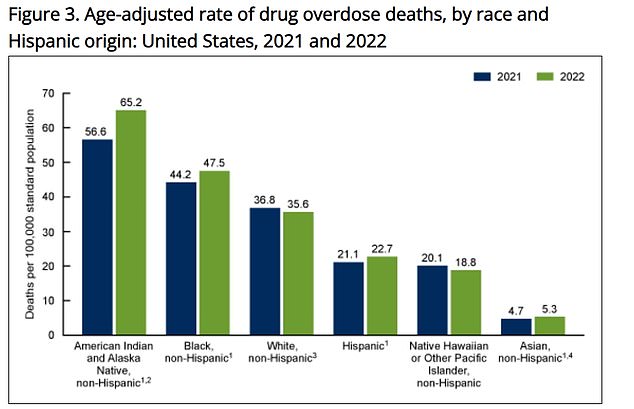 The above shows the death rate from drug overdose from 2021 to 2022, by ethnic group