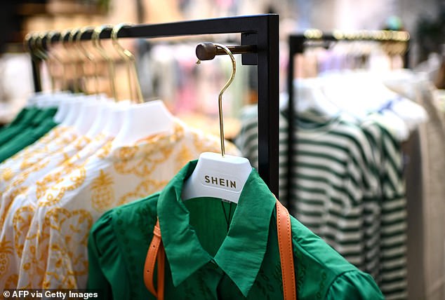 When the new venture launches, it will take on controversial Chinese online retailers Shein and Temu