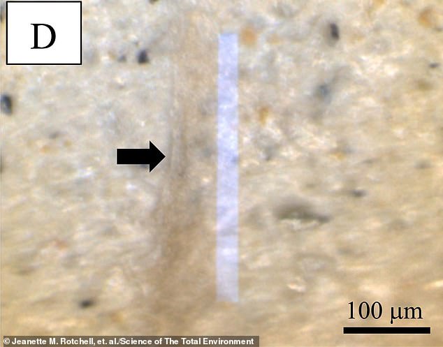 The team found more than 25,000 microplastics in the samples, which were likely a direct result of human activities such as industry, agriculture, transportation and daily life.