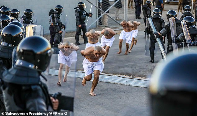 Handout photo released by the Press Secretary of the Presidency of El Salvador showing police officers standing guard during the arrival of inmates of the MS-13 and 18 gangs at the new prison "Terrorist Detention Center"