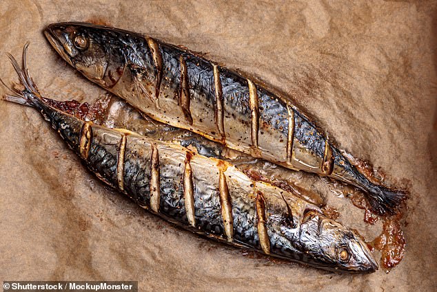 Although mackerel is often used to feed salmon, researchers found that they contain five times more calcium and four times more iodine than a salmon fillet (file photo)