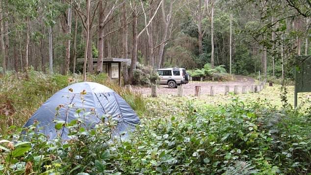 The pair wandered the dense bushland of NSW's 6920 hectare Mount Royal National Park, without food or water.