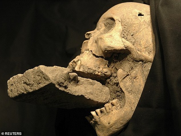 The remains of a female 'vampire' from 16th-century Venice, buried with a stone in her mouth, supposedly to prevent her from feeding on plague victims