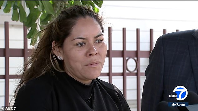 Mejia's mother Maria Juarez and her attorney Luis Carrillo told ABC7 they believe her death was a result of the injury she suffered during the fight.