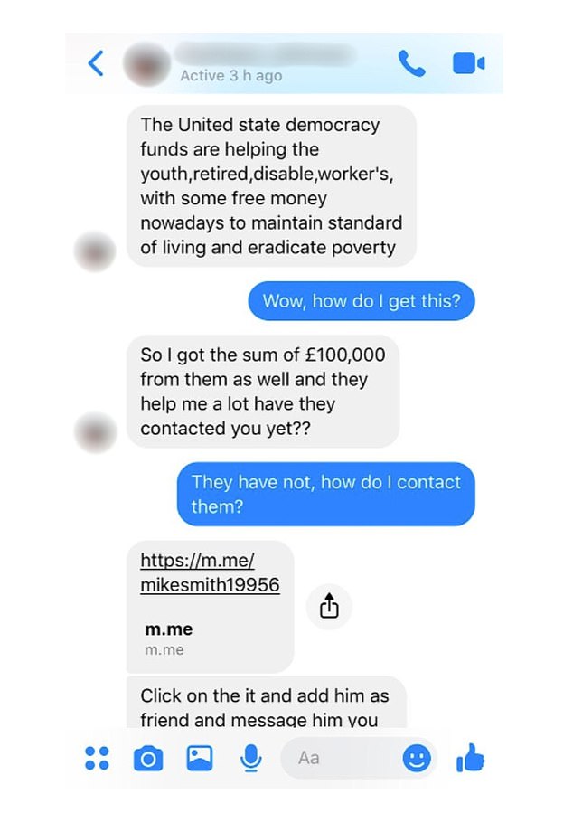 The scammer quickly tried to trick Mel's cousin into visiting a fake web page (Picture Daily Mail)