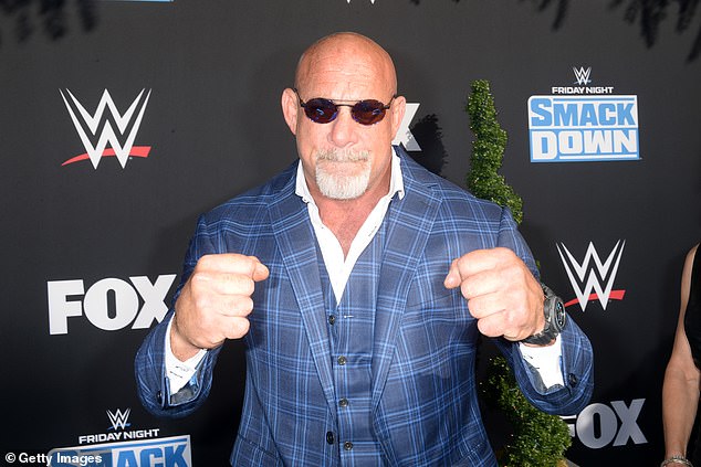 Goldberg has insisted that the kick was an 