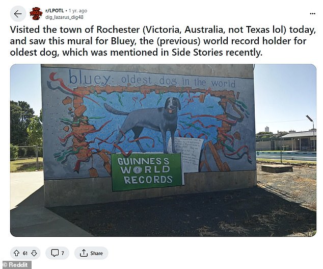 Bluey was honored with a mural in her hometown of Rochester, Victoria