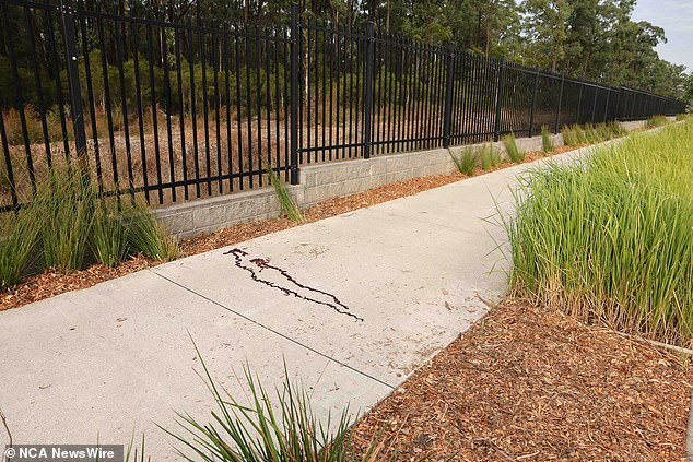 A 32-year-old man was found by a passer-by in a pool of blood on the sidewalk of Georgina Crescent, in Melonba, in Sydney's west, just before 9pm on Friday.