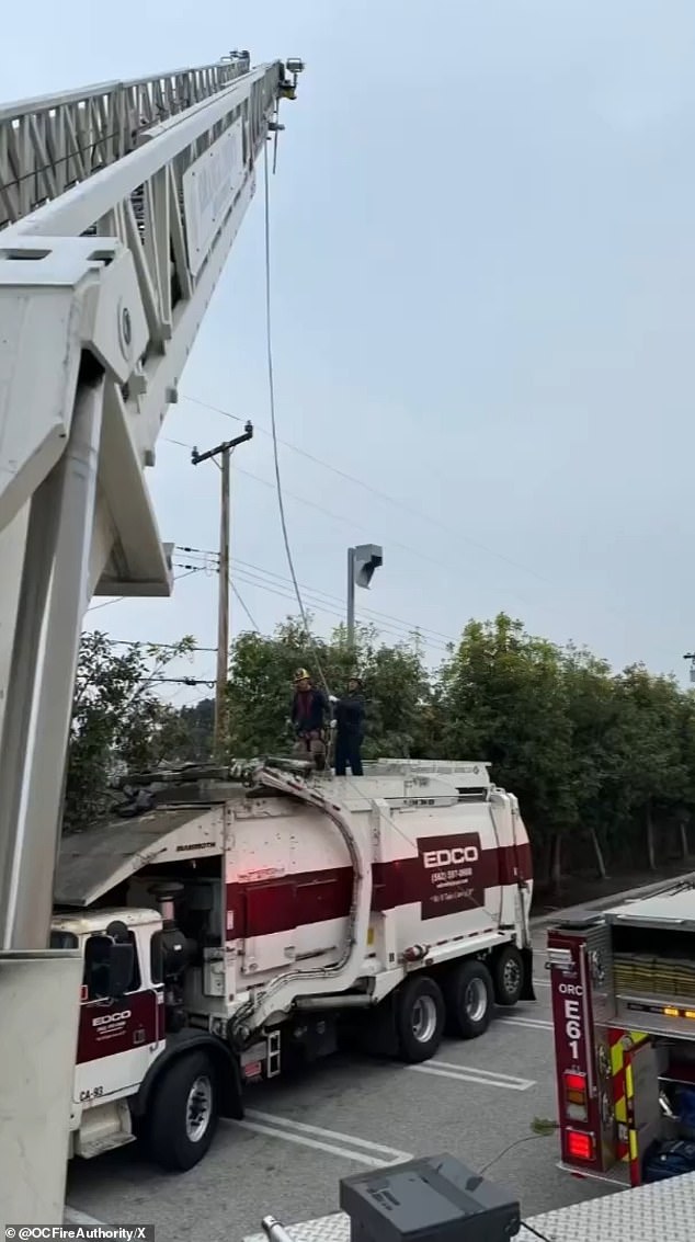 Using ropes and a pulley system attached to a ladder fire truck, they lifted the woman, who was placed in a stokes basket, from the garbage truck.