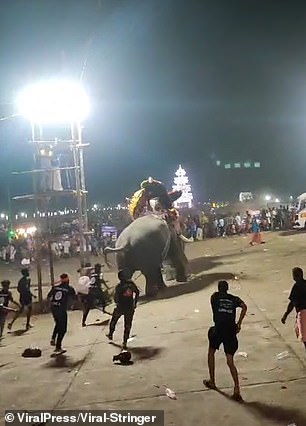 The older bull named Guruvayur Ravikrishnan got irritated and lashed out and another elephant Puthuppally Arjunan