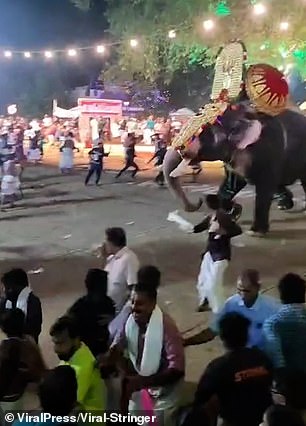 The crowd flees the elephant at the festival