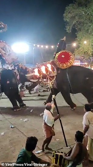 Officials said dozens of attendees were injured as they tried to flee but fell as the elephants charged toward them.