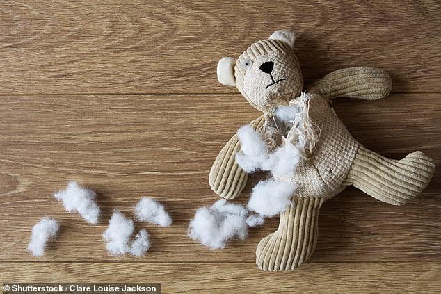 Analysis found that when assessing the comfort scores of others' teddy bears, the most important factors were softness, coat length, scent, body volume and visual appeal (stock image)