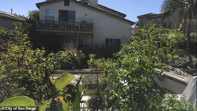 Neighbors say the hoarder house's overgrown yard is a fire hazard to their property