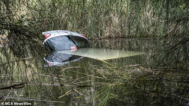 The 60-year-old woman and sole occupant of the vehicle was free just before the car became completely submerged at Dee Why Lagoon, in Sydney's north