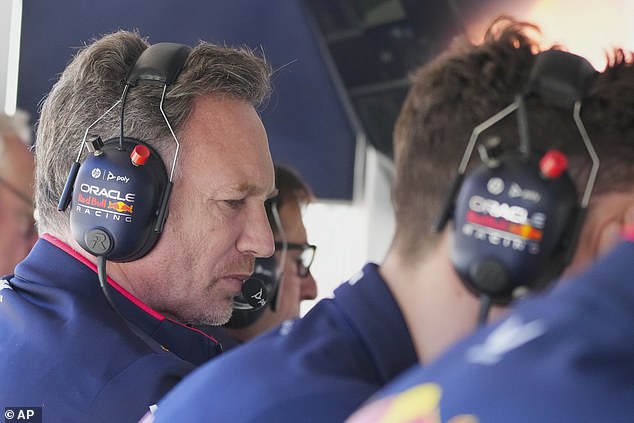 Red Bull team boss Christian Horner said he understood Verstappen's frustrations