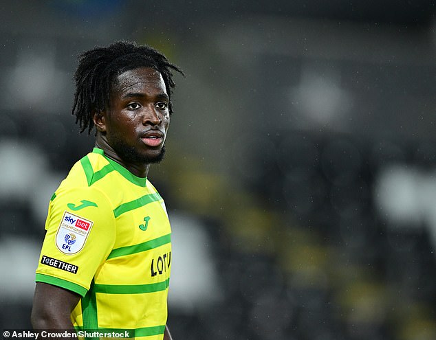 Norwich star Jonathan Rowe was also mentioned by Webber as potentially facing jail time