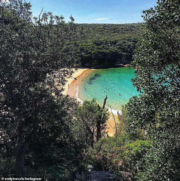 Others noted that there is a cash only entry fee to enter the Royal National Park and it is only open to the public between 7am and 8.30pm.