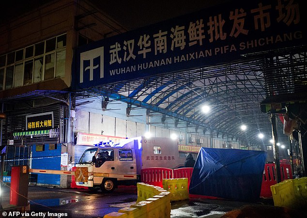 Scientists have largely pointed to the Huanan wholesale seafood market in Wuhan (pictured), where numerous species of live animals were raised and sold, as the potential location where Covid naturally spread from animals to humans.