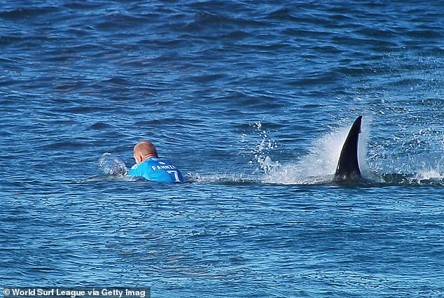 Fanning famously survived a shark attack while competing in the 2015 JBay Open in South Africa (pictured)