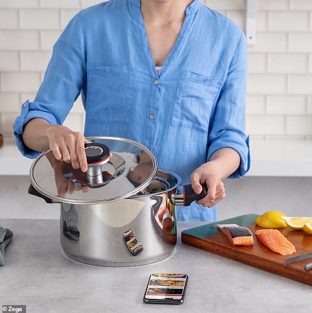 Zega appointed administrators on March 8, according to documents filed with the Australian Securities and Investments Commission.  A woman is shown using a Zega pot