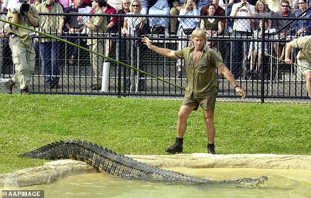 However, in the comments on the Reddit post, another theory emerged regarding a fake video.  In 2018, Steve's widow Terri Irwin confirmed that the video of her husband's death was never released to the public, but that a fabrication had gone viral shortly after the tragedy.