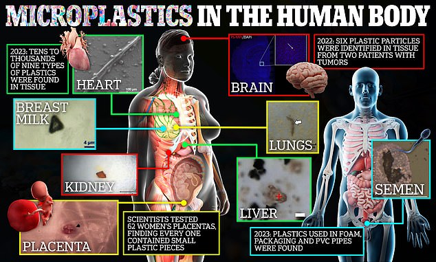 Nanoplastics are found in arteries, lungs and placentas and can take between 100 and 1000 years to break down