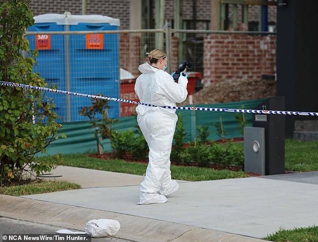 Officers (pictured) were seen at the Annan Ave home on Sunday as the investigation continues, led by Strike Force Wilty