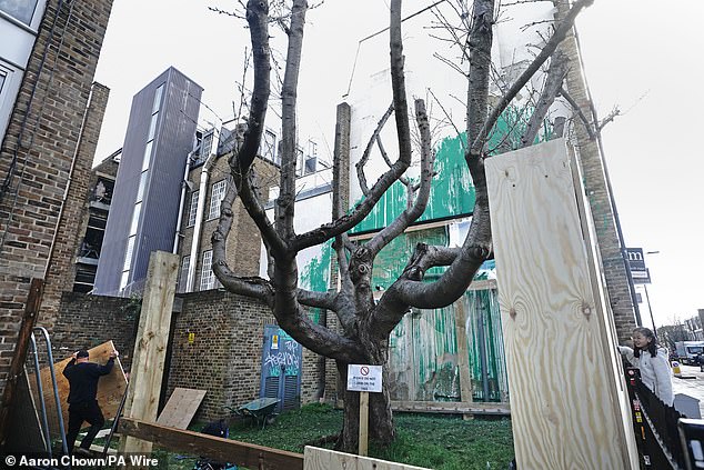 Workers have started installing wooden planks for the mural.  apparently to prevent large crowds from gathering nearby