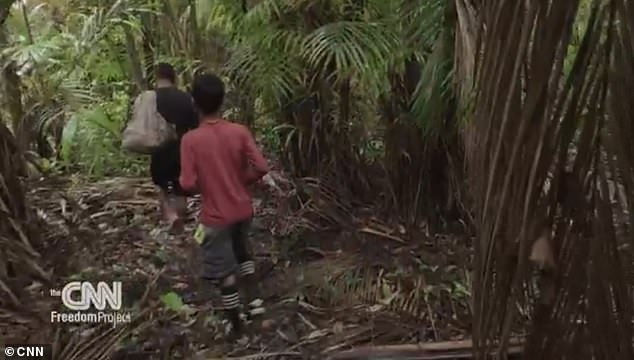 The short film, commissioned by the CNN Freedom Project, takes viewers to the heart of the Amazon region in Brazil, where the small, black-purple fruits are found.