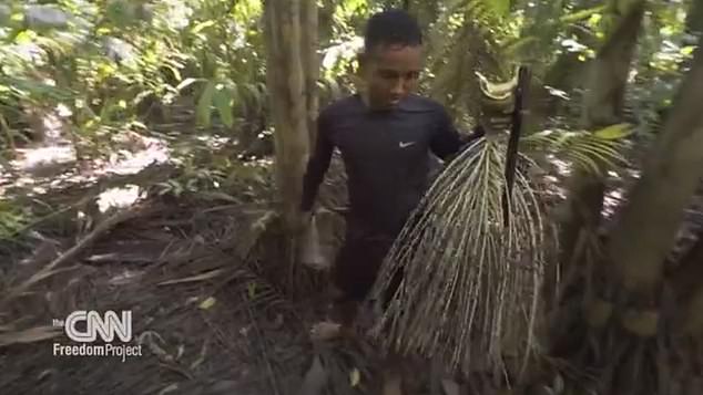 They wear no protective equipment and all they use is a strip of burlap wrapped around their bare feet to help them hold onto the logs.