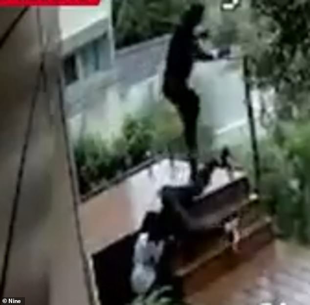 The would-be robbers (pictured) fled the house so frantically that someone slid up the stairs and was heard saying 'what the hell?'  in response to the mother's screams