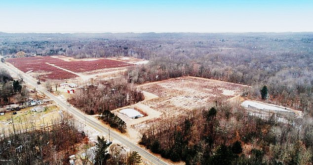 The plant is located in Covert of Van Buren County, about 40 miles west of Kalamazoo, where about 3,000 people live.  The city covers thirty-five square kilometers, with dense forests and blueberry farms