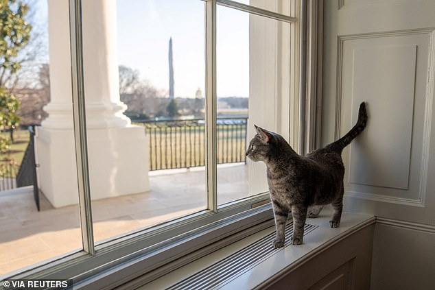 Willow met the first lady while campaigning in Pennsylvania