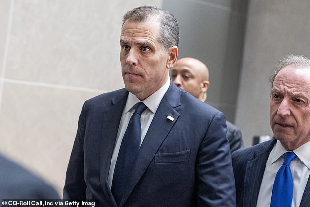 Hunter Biden testified before the committee in Washington, DC, last month