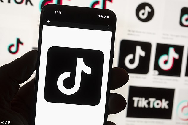 Social media apps have long been inspired to create their own versions of features from the hugely successful app TikTok, owned by Chinese company ByteDance