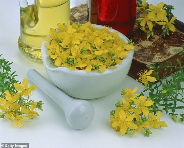 St. John's wort interacts with a variety of medications designed to help minimize cholesterol