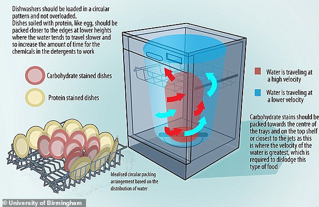 In 2015, engineers tracked water movement in dishwashers before concluding that dishes should be placed in a circle, but with carb-stained plates in the center and protein-stained plates around the edge.  Carbohydrate-based stains require the full force of the water jets to get clean, while protein-based foods require more contact with the cleaning chemical