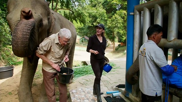 Paul was punched by an elephant named Lotus as he turned around to apologize to her for not paying her enough attention