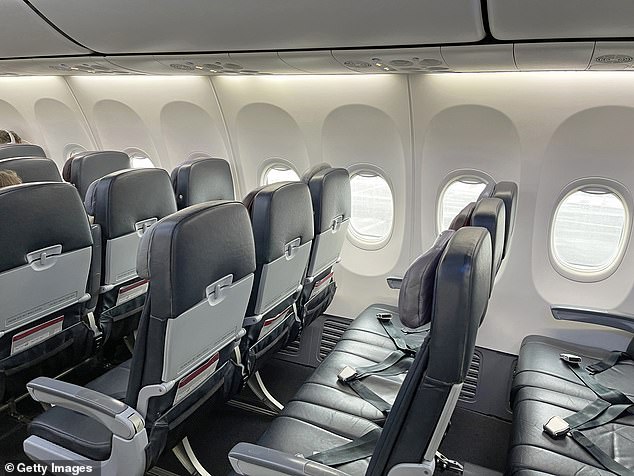 “That is why most airlines prefer not to fuel the superstitions of their customers and have chosen to remove the number of seats from the seating plans,” she said.  In the video, Ms Lim shows how the row numbers on both sides jump from 12 to 14 (stock image)