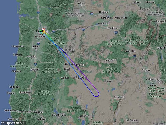 The Phoenix-bound plane was forced to return to Portland International Airport after passengers in the back of the plane reported smelling 