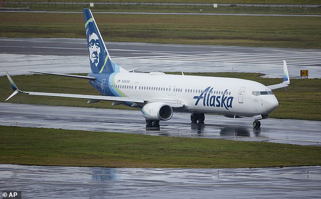 The crew of Flight 646 declared a state of emergency after passengers in the back of the plane reported smelling 'some fumes or an odor' (File Photo)