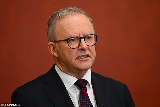 Anthony Albanese's housing policy has come under fire after new research found that only four percent of homes in a major city would qualify.  The photo shows the Prime Minister