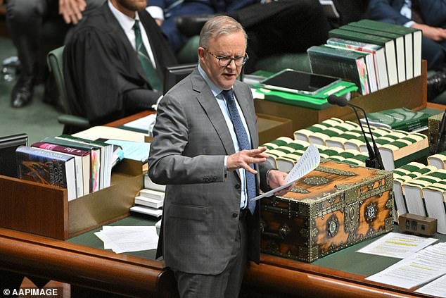 Aussies are turning their backs on the Labor Party, a new poll shows, in the latest hit for Prime Minister Anthony Albanese (pictured)