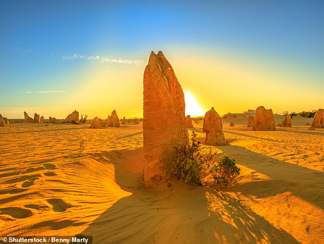 The above-average temperatures were caused by heatwaves across the country, with Western Australia (photo from Nambung National Park) bearing the brunt of the extreme conditions